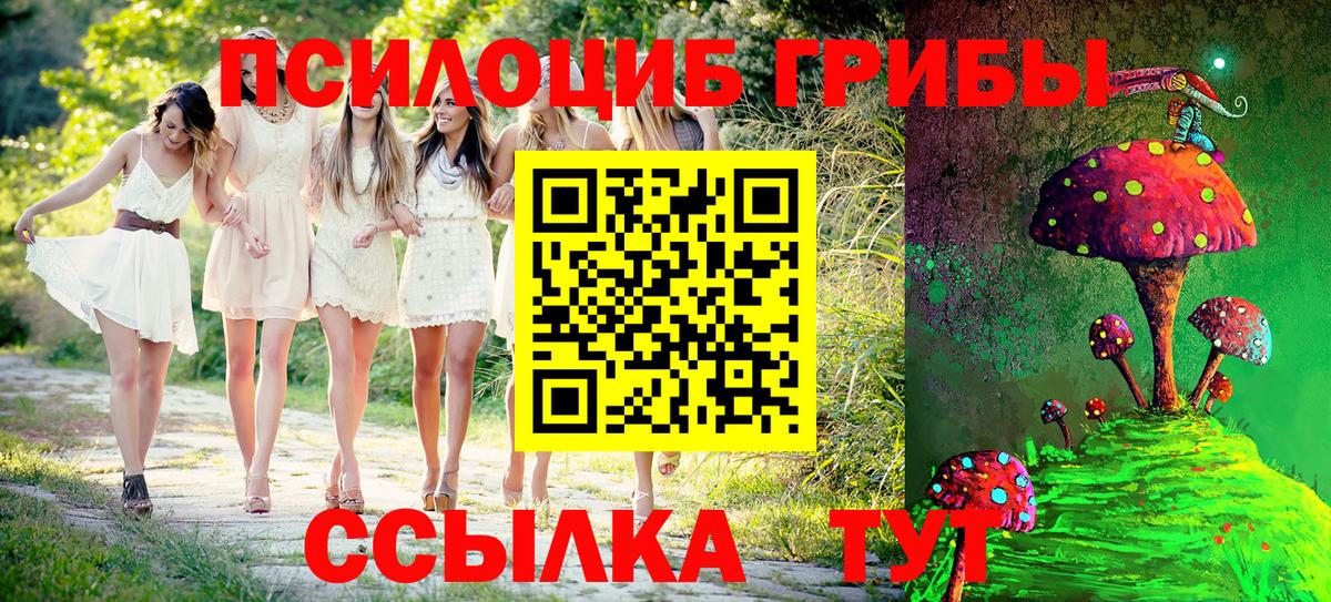 Балаково  наркотики  Вход с VPN  Галлюциногенные грибы GOLDEN TEACHER 