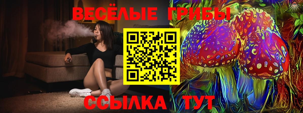 Галлюциногенные грибы мицелий Балаково