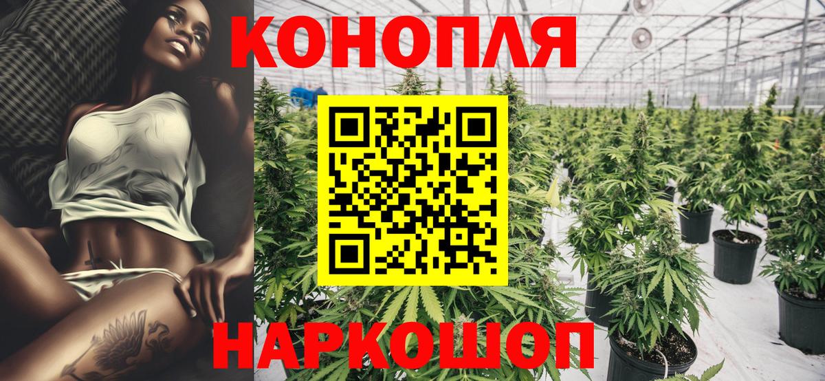 Конопля гибрид Балаково